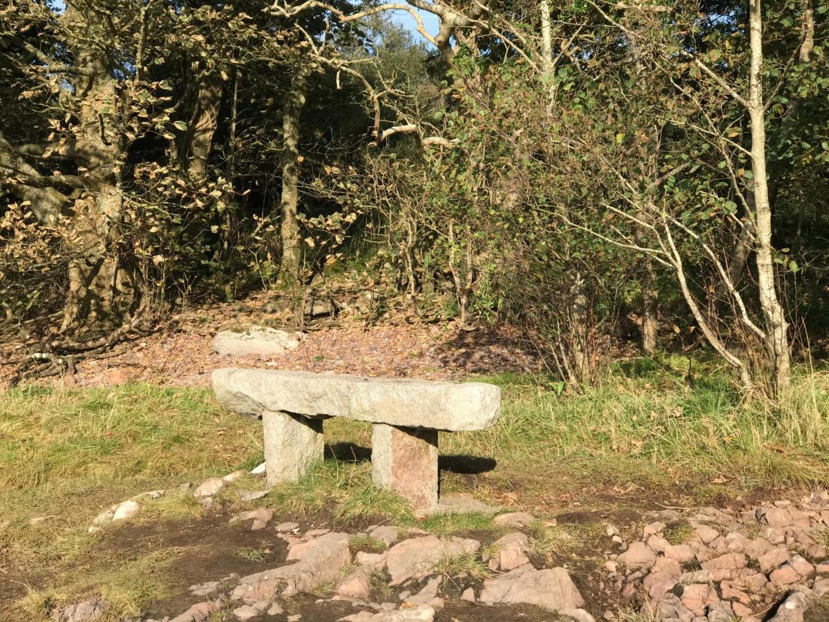 Kipplochan Dalbeattie Zewnętrze zdjęcie