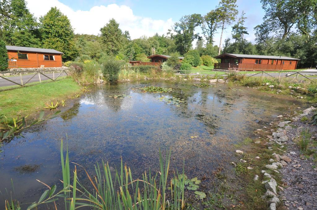 Kipplochan Dalbeattie Zewnętrze zdjęcie